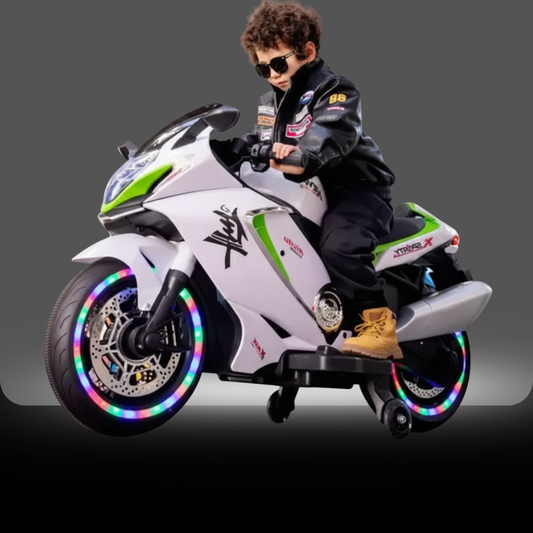 Big Size Hayabusa Electric Bike